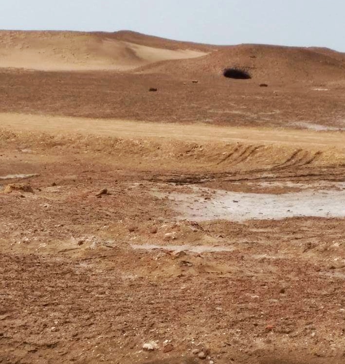مدينة الفرما 12 مدينة الفرما 12