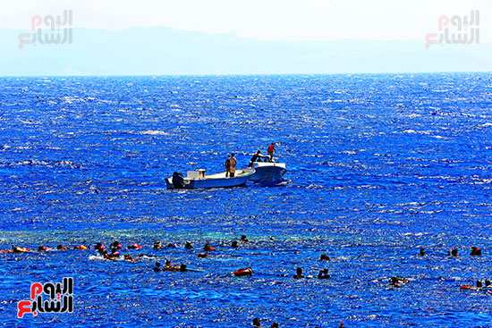 هدوء وجمال الطبيعة