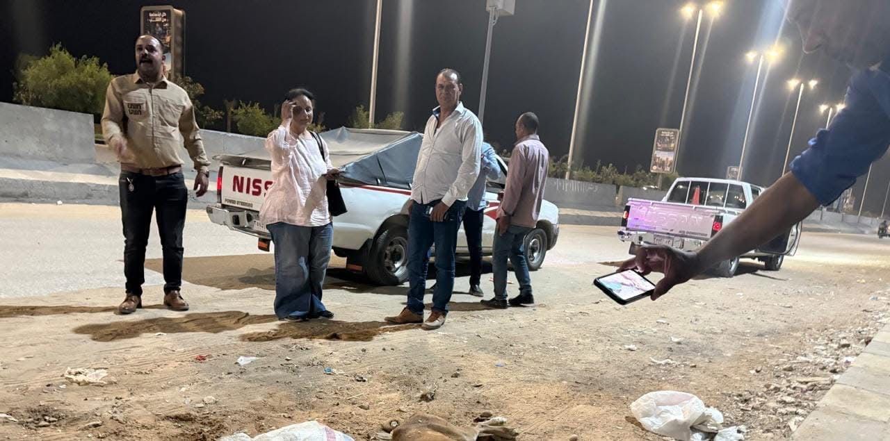 لجنة من حى الهرم لفحص حقيقة ادعاء نفوق 500 كلب فى حدائق الأهرام (2)