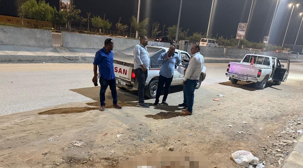 لجنة من حى الهرم لفحص حقيقة ادعاء نفوق 500 كلب فى حدائق الأهرام (3)