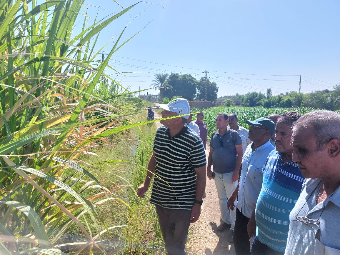 وفد من وزارة الزراعة يتابع جهود مكافحة الآفات وتنمية القطاع قبل الشتاء
