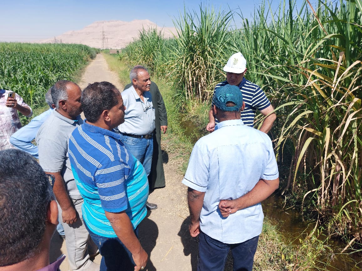 رصد جهود مكافحة الآفات وتنمية القطاع الزراعى قبل الموسم الزراعات الشتوى