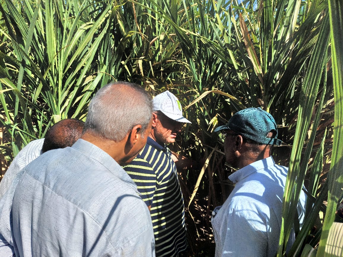 وفد من وزارة الزراعة يتابع جهود مكافحة الآفات وتنمية القطاع الزراعى