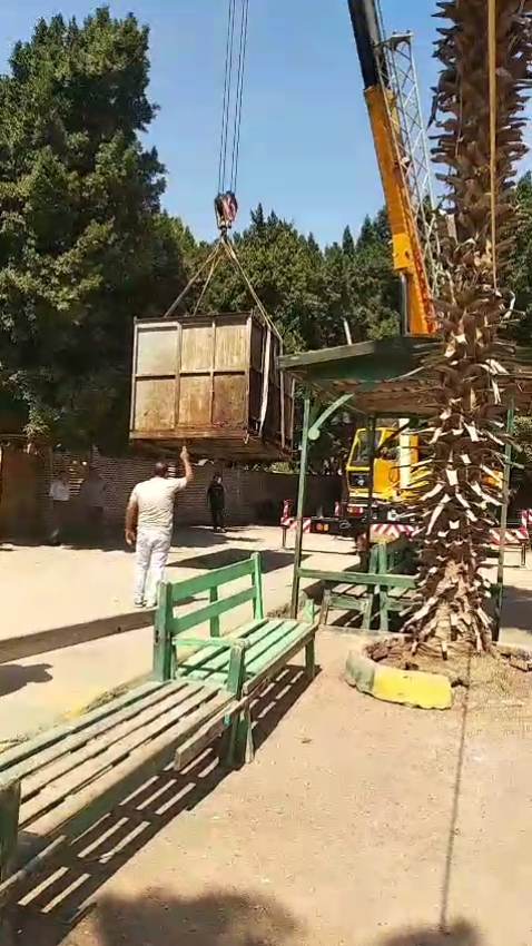 صندوق خشبي لنقل فرس النهر صندوق خشبي لنقل فرس النهر