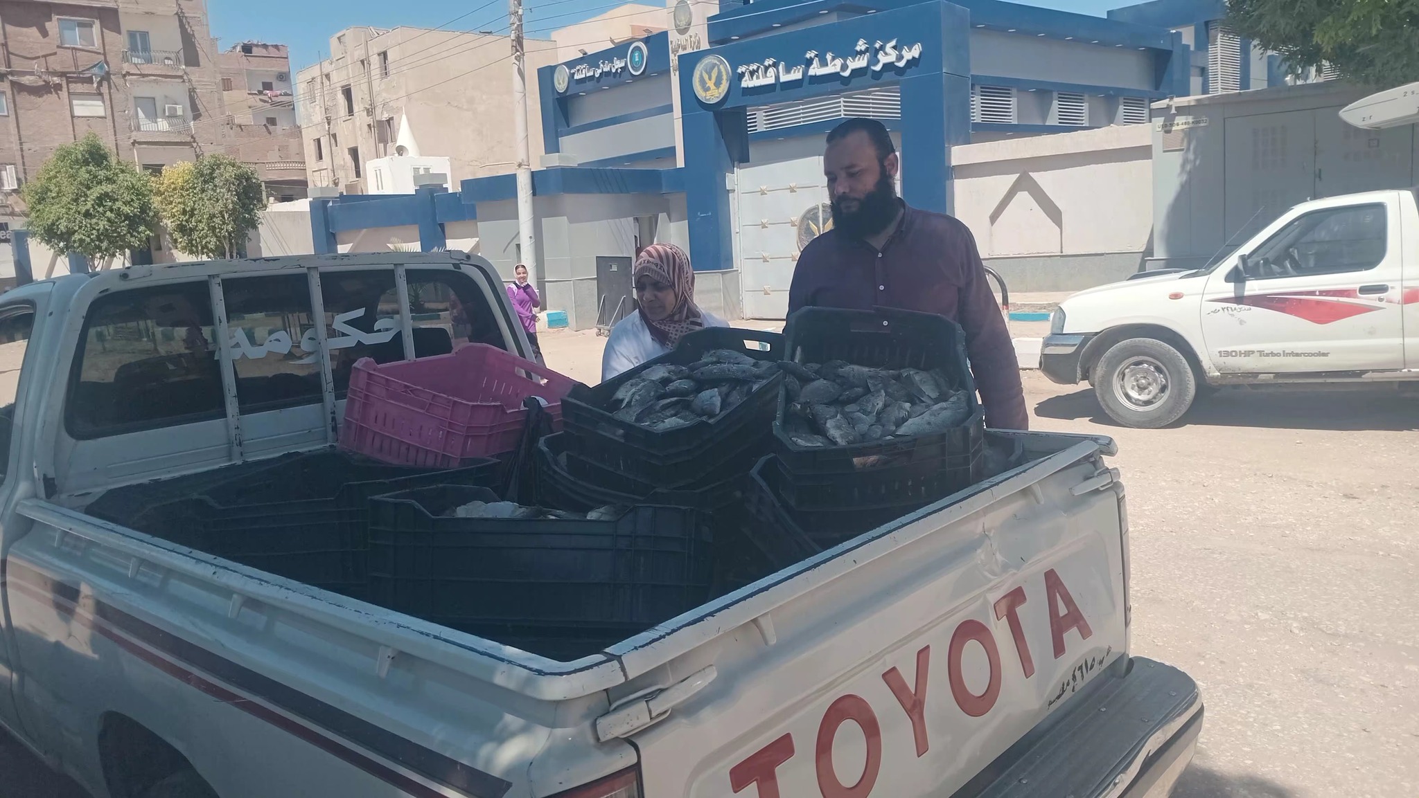 الأسماك المضبوطه