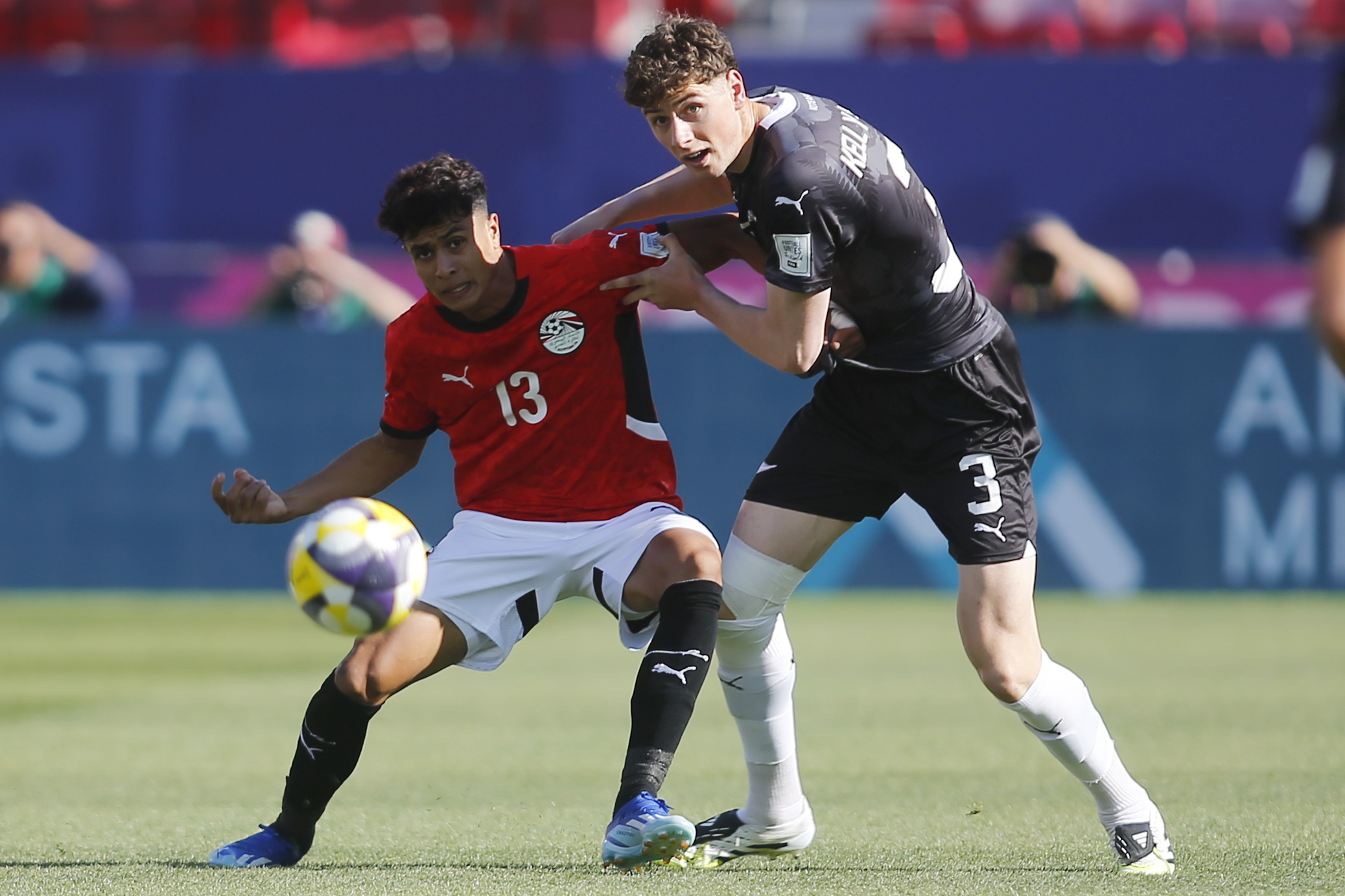 مصر ونيوزيلندا