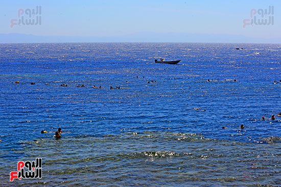 جمال الوان البحر
