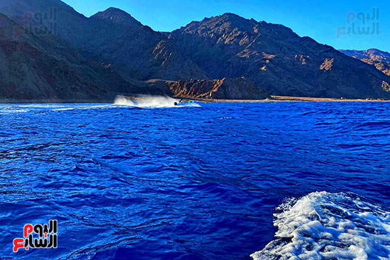 الشاطئ والطبيعة