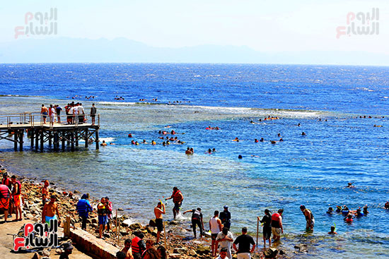 لحظة الغوص الأولى