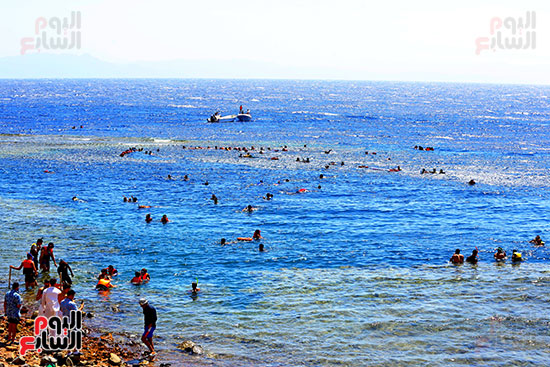 سحر الطبيعة