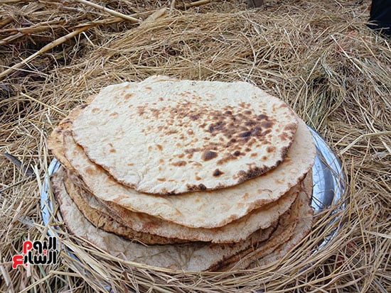عيش-فلاحى عيش-فلاحى