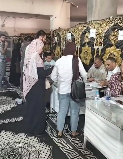 تنظيم في أعمال التصويت