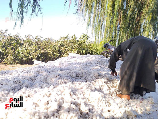 أثناء-التفريد_1