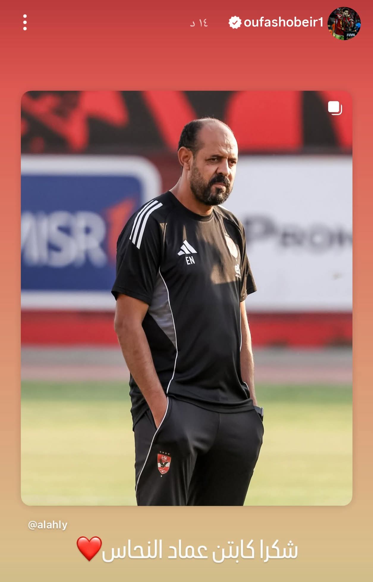 مصطفى شوبير