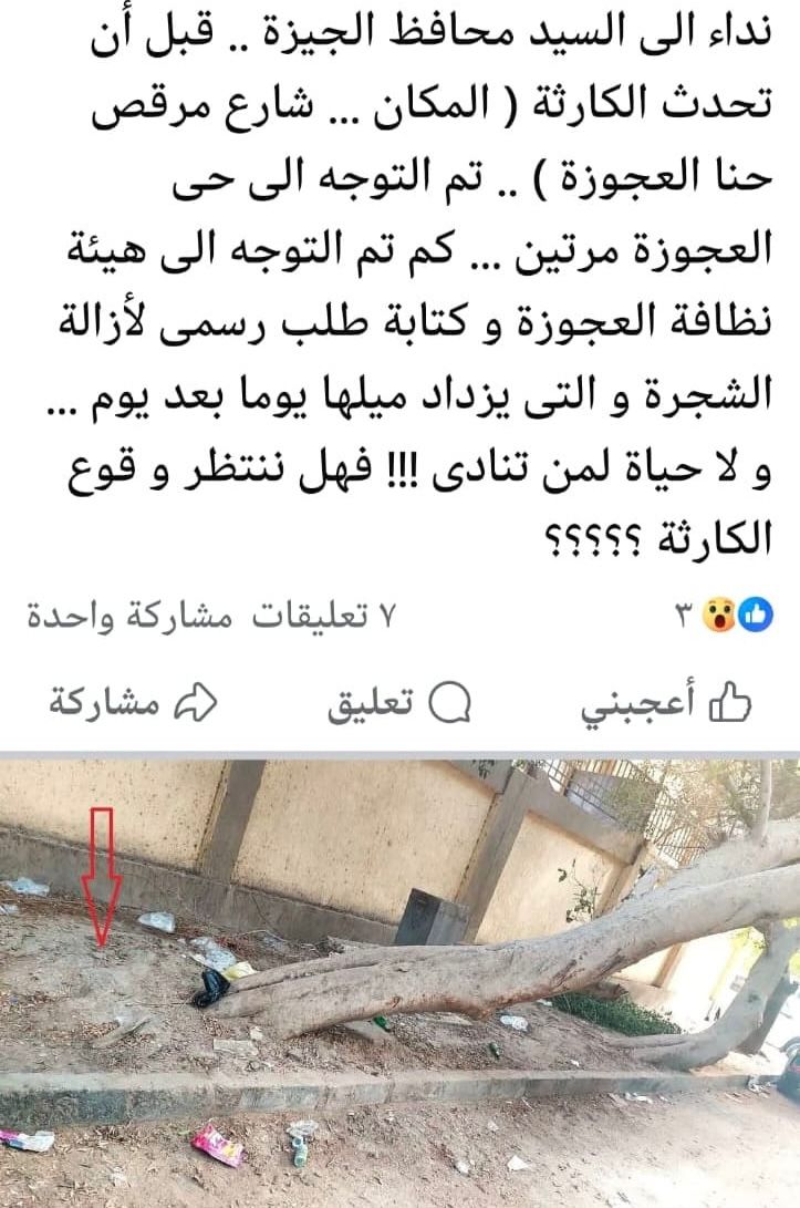 WhatsApp Image 2025-10-11 at 3.24.03 PM