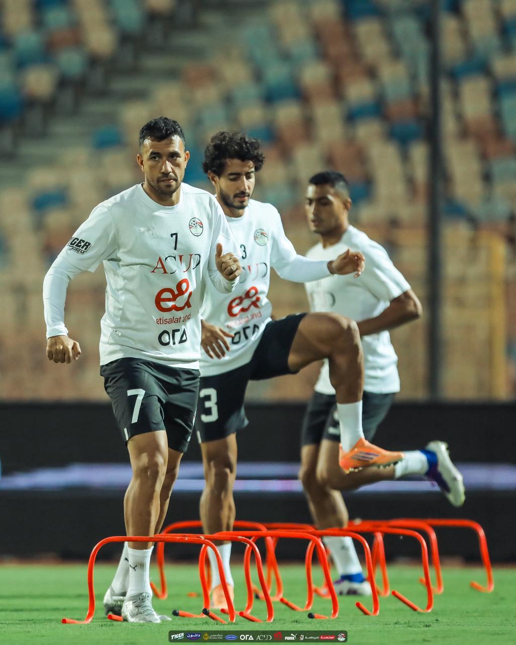 تريزيجيه وهاني