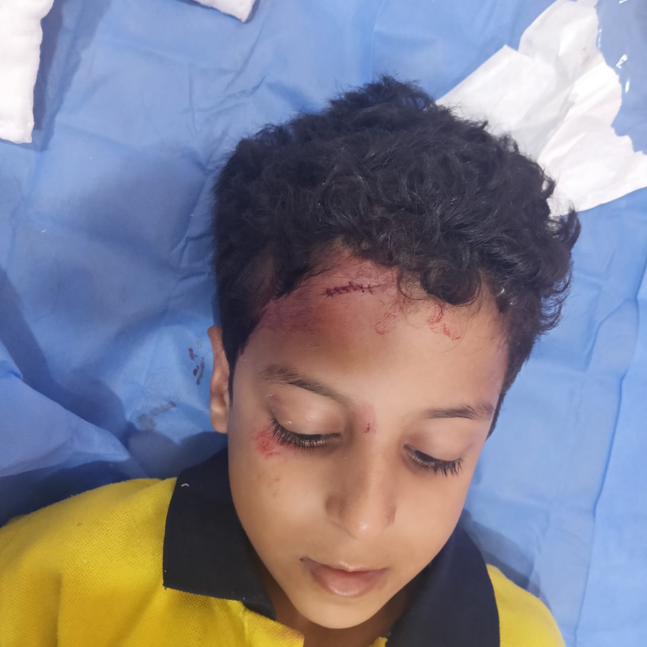 79a3a541-7b4e-4660-9af8-1855c121011e 79a3a541-7b4e-4660-9af8-1855c121011e