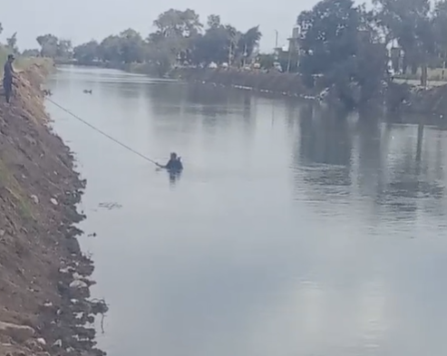 البحث عن جثمان غريق كفر الشيخ البحث عن جثمان غريق كفر الشيخ