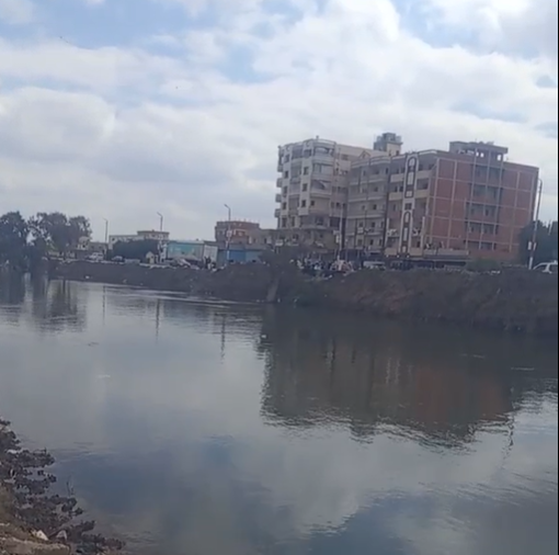 استمرار البحث عن غريق كفر الشيخ استمرار البحث عن غريق كفر الشيخ