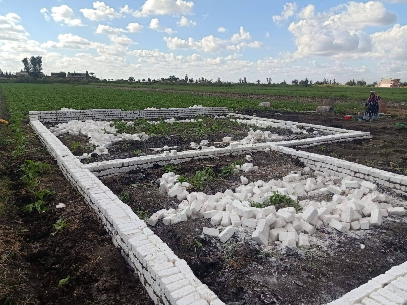 وقف إزالة تعدي على الأراضي الزراعية بمركز كفر الشيخ