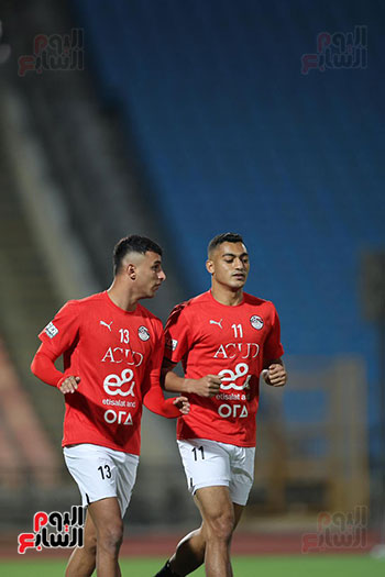 الأناكوندا الأناكوندا