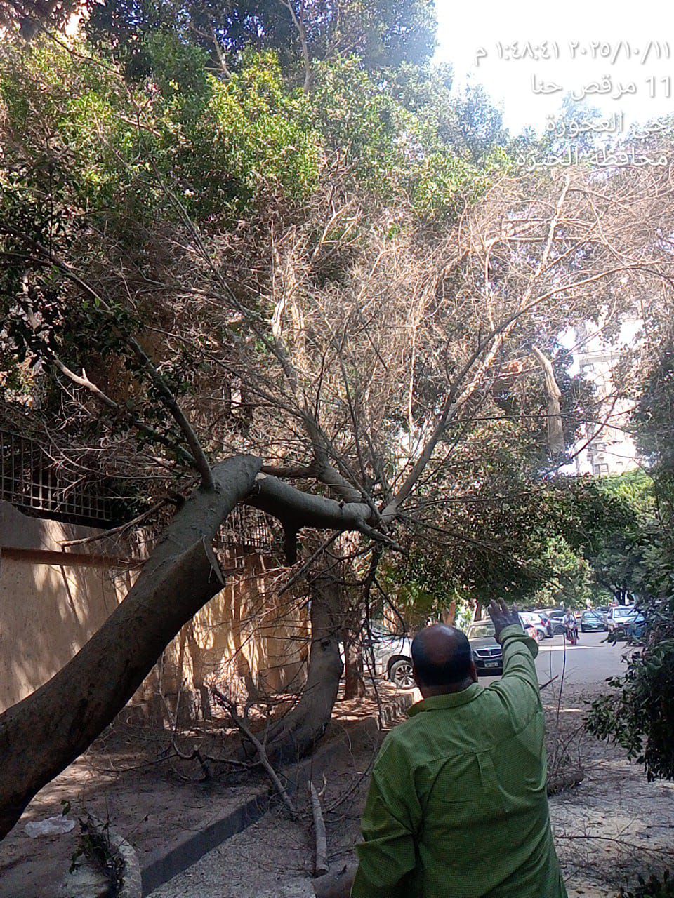 WhatsApp Image 2025-10-11 at 3.24.23 PM