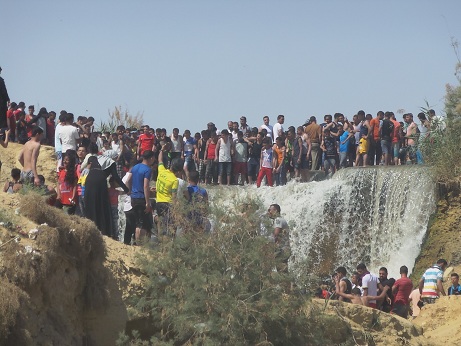 محمية وادي الريان (5)