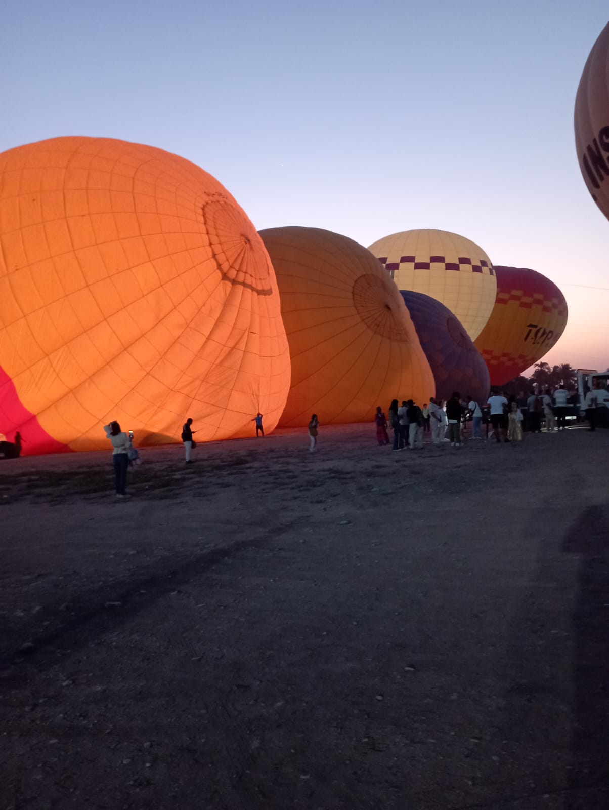 السياح ينتظرون خروج رحلات البالون الطائر بالأقصر السياح ينتظرون خروج رحلات البالون الطائر بالأقصر