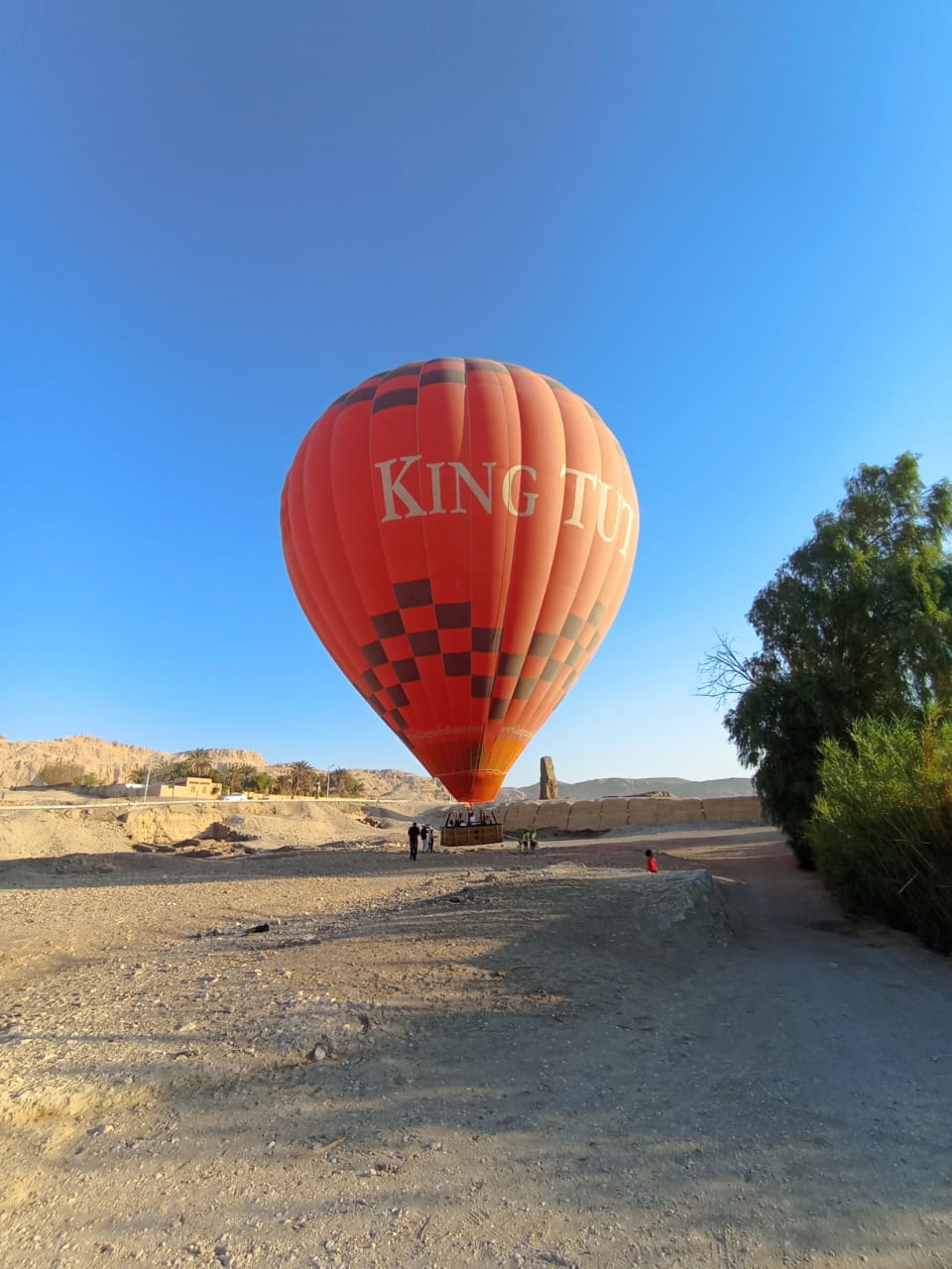 لحظة هبوط رحلات البالون الطائر غرب الأقصر لحظة هبوط رحلات البالون الطائر غرب الأقصر