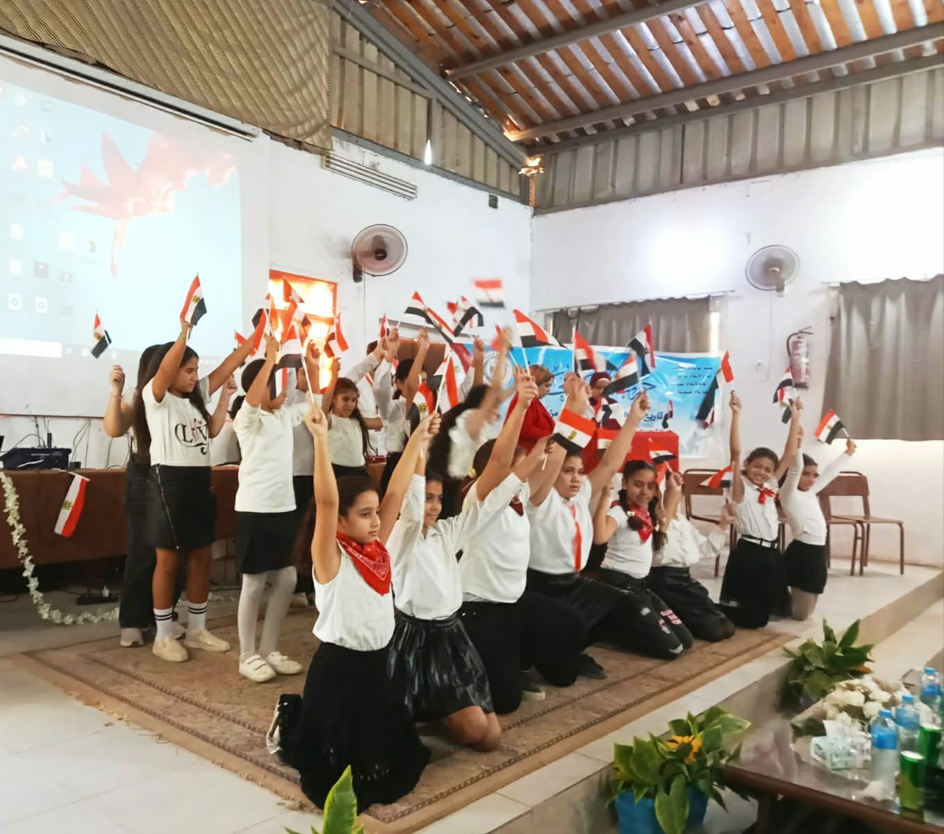 عروض احتفالية