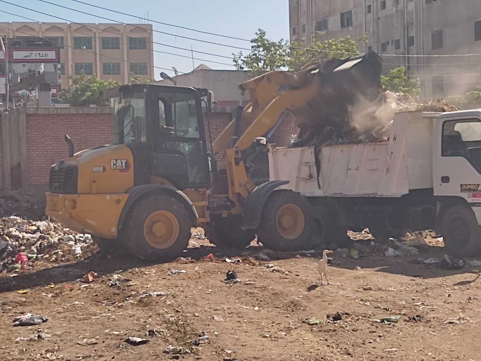 رفع المخلفات بكفر الشيخ (1)