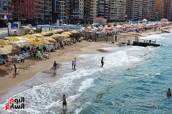 خريف-معتل-بالاسكندرية-