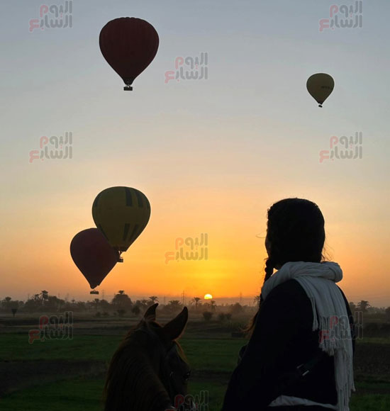 سفارى-الخيل-سحر-وسط-البالون-الطائر-وبهجة-لسياح-العالم-بالأقصر سفارى-الخيل-سحر-وسط-البالون-الطائر-وبهجة-لسياح-العالم-بالأقصر