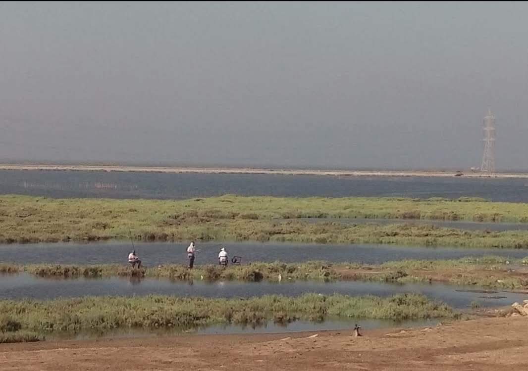 الطيور المهاجرة من محمية اشتوم