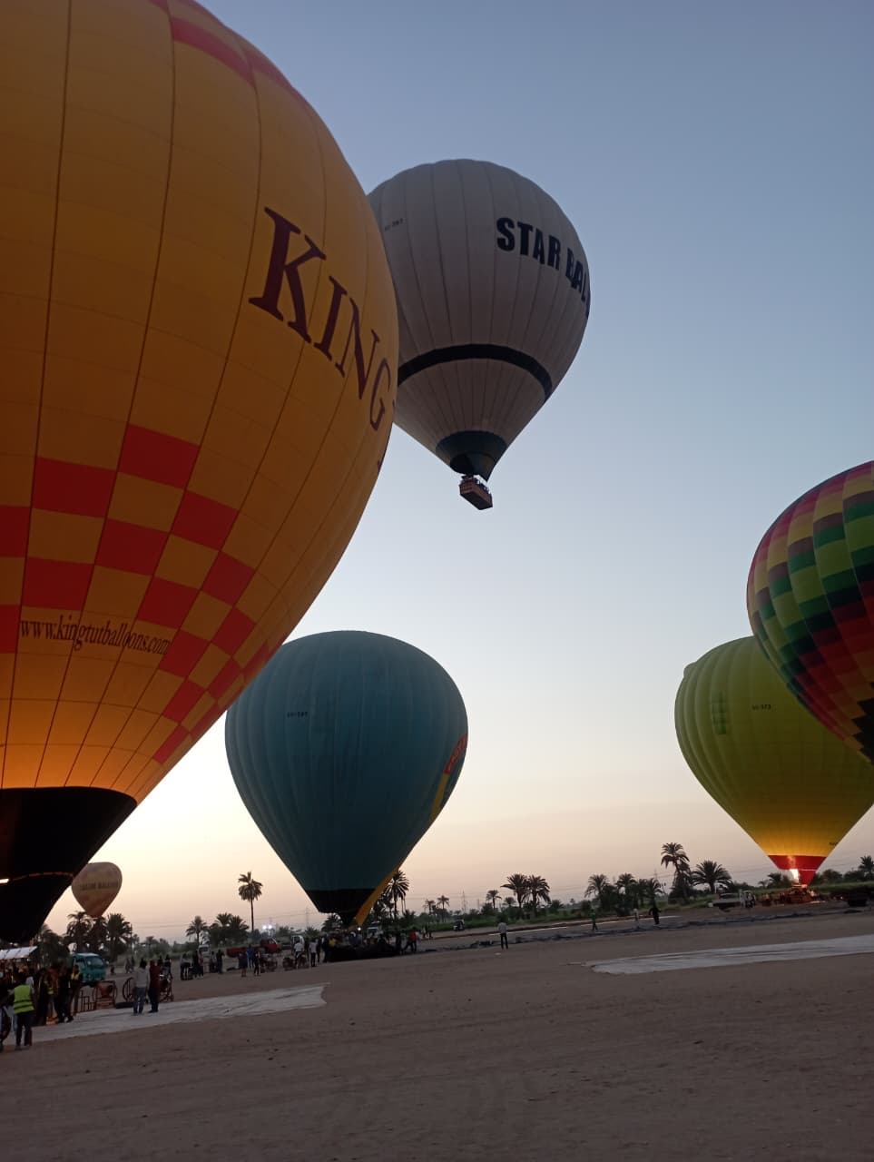 خروج رحلات البالون الطائر من أرض المطار بالأقصر خروج رحلات البالون الطائر من أرض المطار بالأقصر