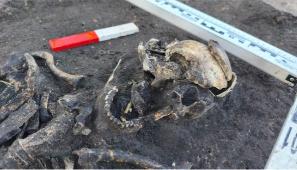 هيكل عظمى بشرى