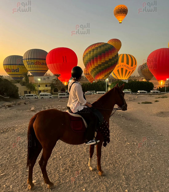 رحلات-سفارى-الخيل-سحر-وسط-البالون-الطائر-وبهجة-لسياح-العالم رحلات-سفارى-الخيل-سحر-وسط-البالون-الطائر-وبهجة-لسياح-العالم