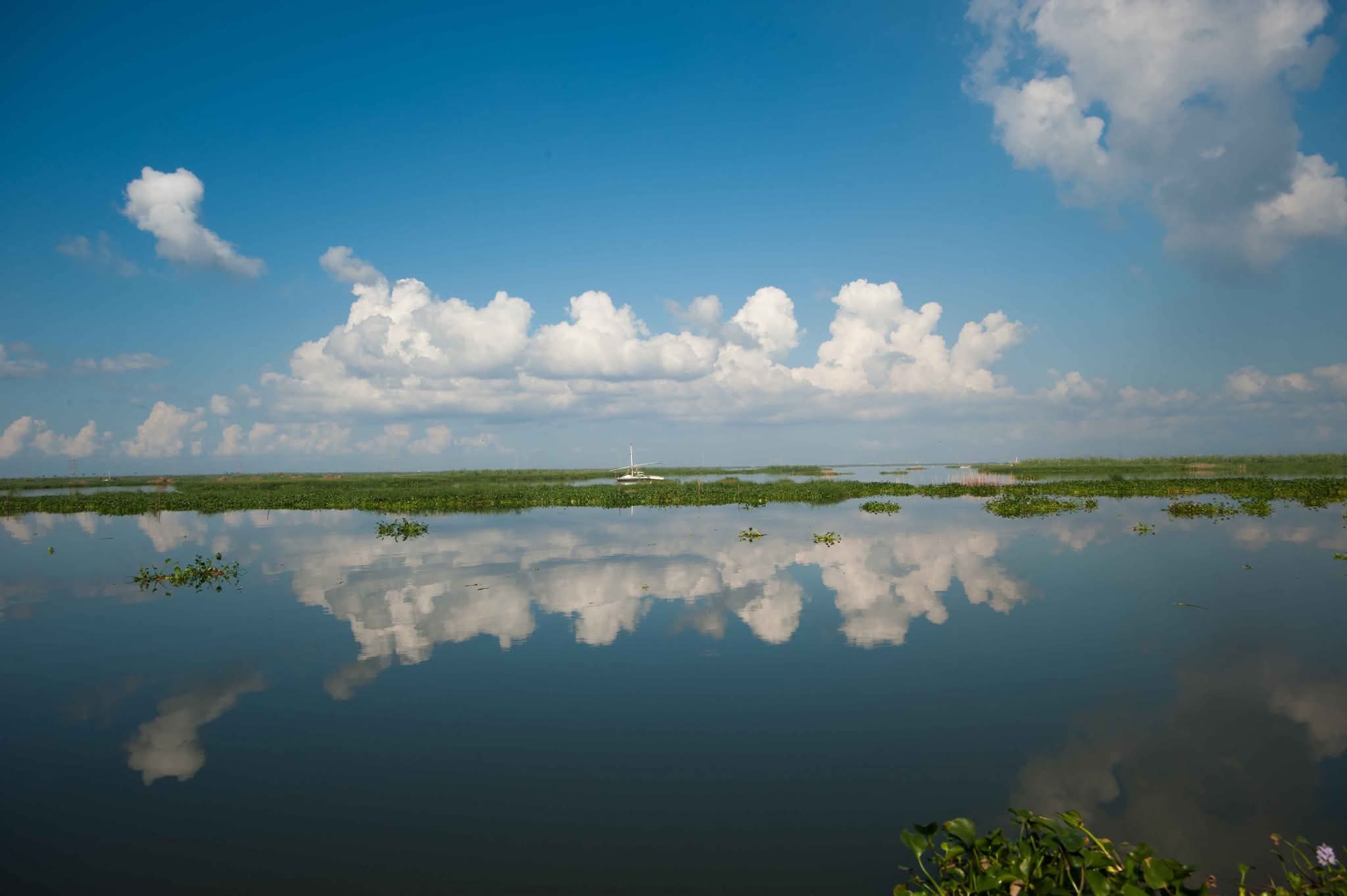 محمية اشتوم الجميل