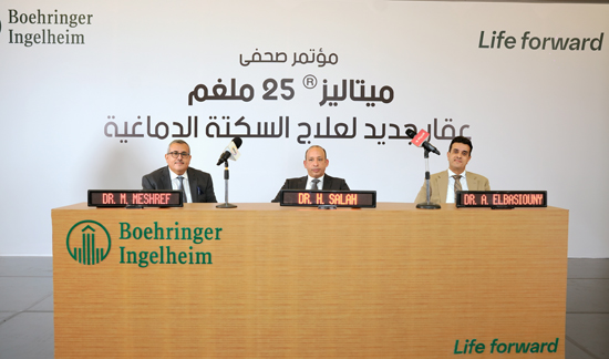 بورينجر إنجلهايم (2)