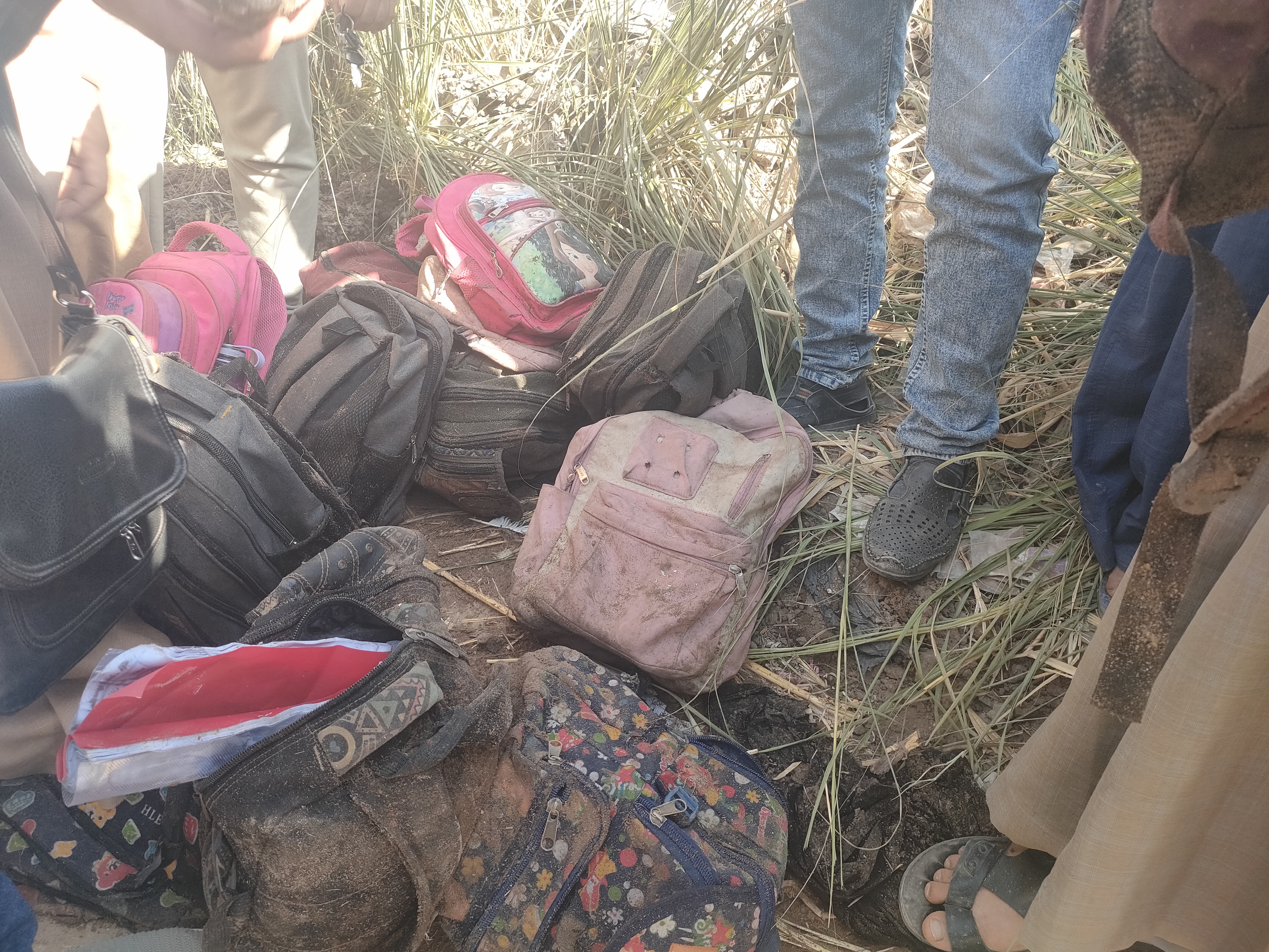 1001150233 1001150233