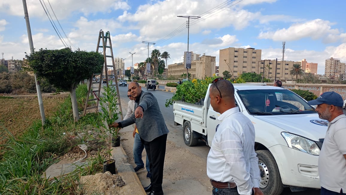 متابعةى زراعة الأشجار بمدينة دسوق