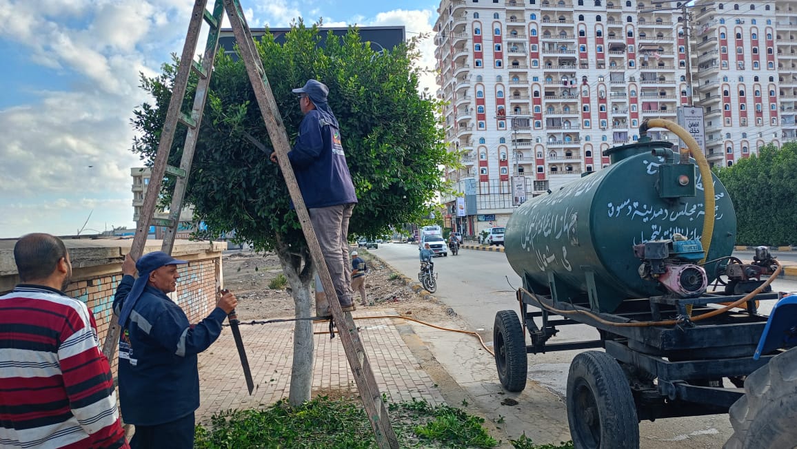 تقليم الأشجار