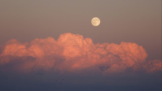 قمر الحصاد، أول قمر عملاق لهذا العام (5)