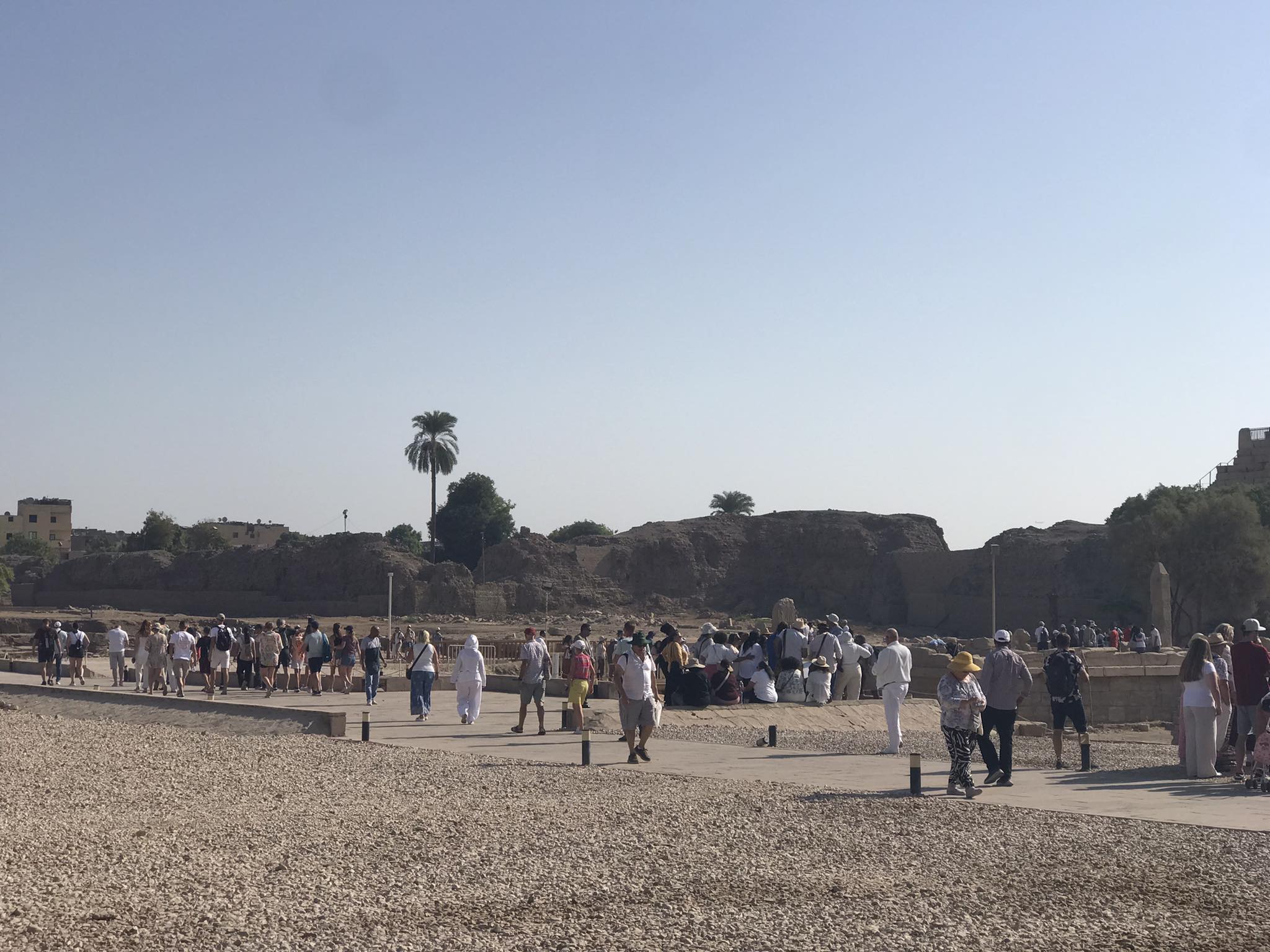 سياح من كل دول العالم يزورون الأقصر للإستمتاع بالحضارة المصرية القديمة