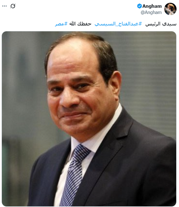 تغريدة أنغام