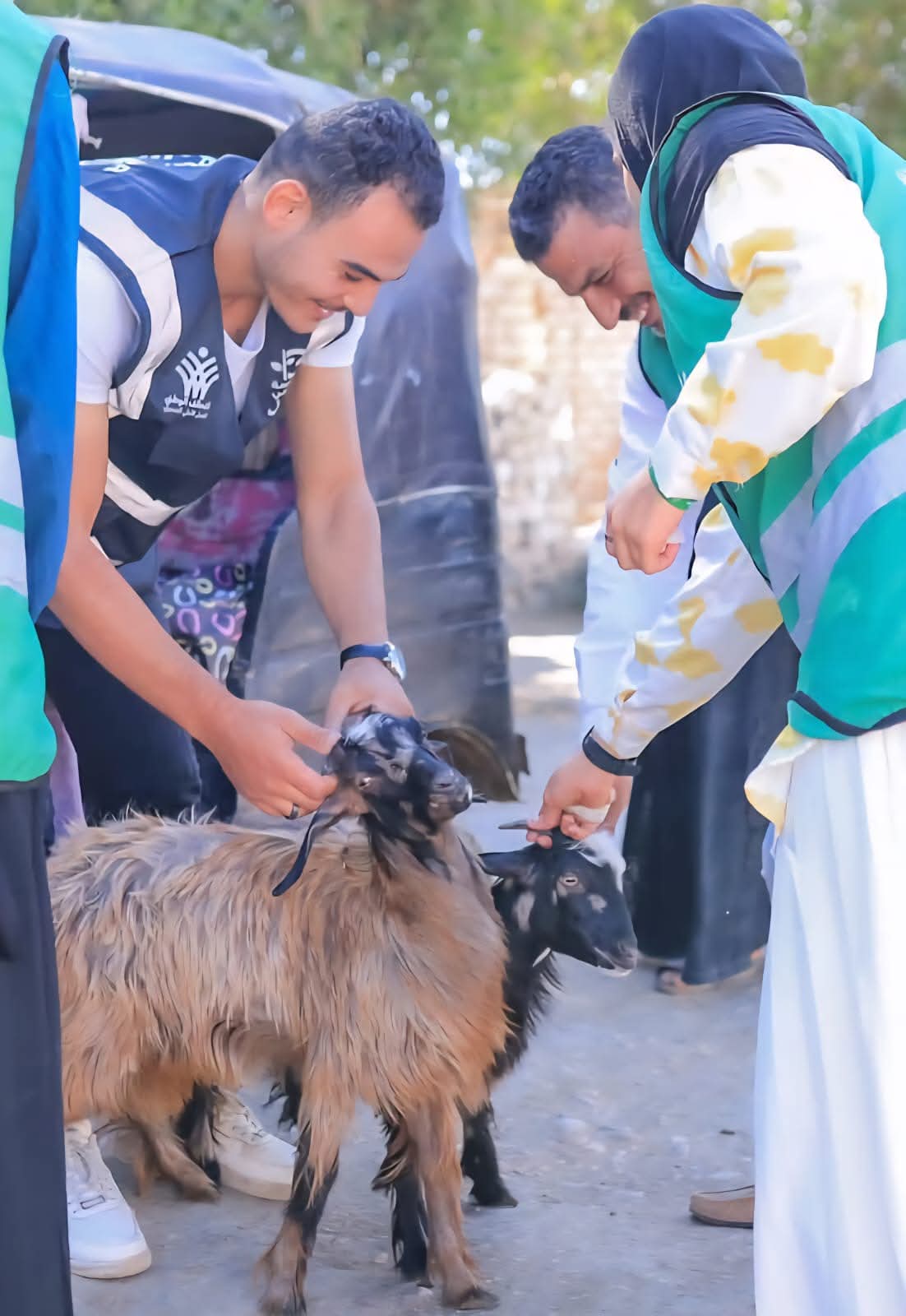 WhatsApp Image 2025-10-15 at 5.27.37 PM (1)