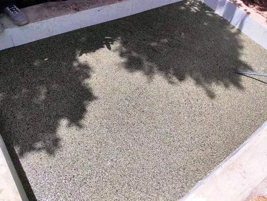 87958-طحالب-الأزولا-أرخص-علف-حيوانى-وداجني-يدعم-احتياجات-الماشية-والدواجن-(7)