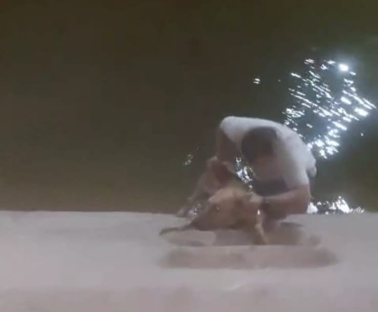 الشاب الأقصرى خلال نجاحه فى إخراج الكلب من قلب ترعة فى البياضية الشاب الأقصرى خلال نجاحه فى إخراج الكلب من قلب ترعة فى البياضية