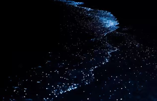 هذه الشواطئ الهندية الجميلة تتوهج في الظلام (4)