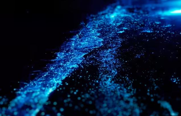 هذه الشواطئ الهندية الجميلة تتوهج في الظلام (5)